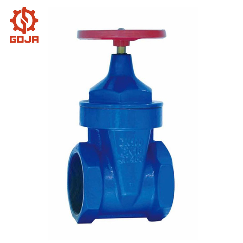 Cover threaded flange gate valve